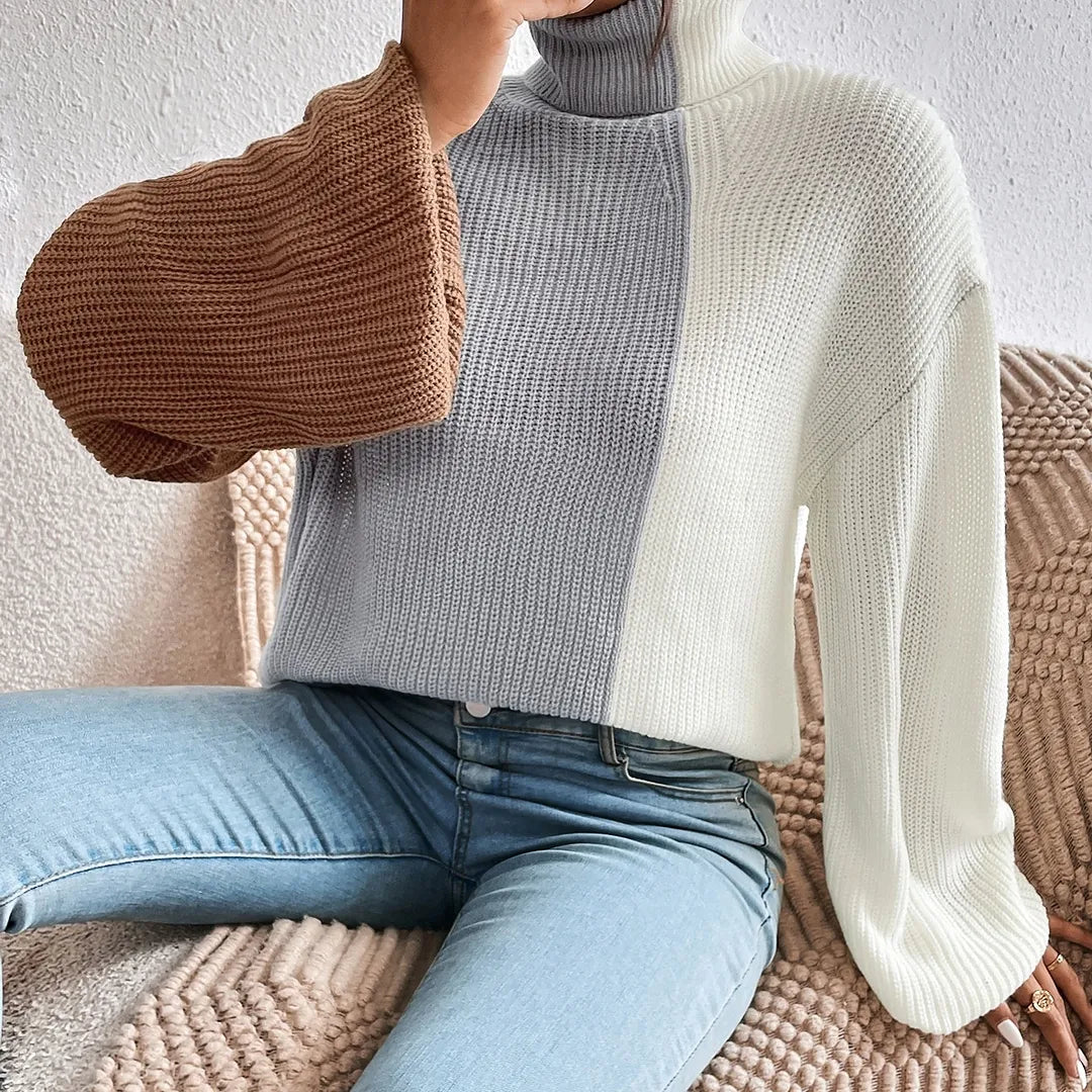 SHEIN Essnce Color Block Turtleneck Drop Shoulder Sweater